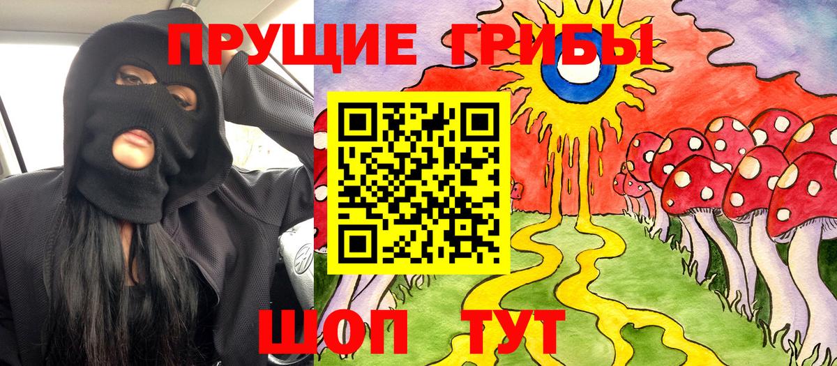 Самара  купить наркотик  Вход с VPN  Галлюциногенные грибы GOLDEN TEACHER 