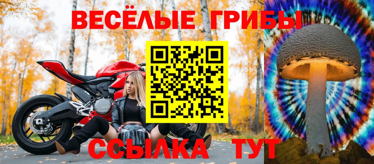Псилоцибиновые грибы Psilocybine cubensis Самара