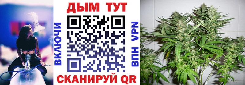 OMG как войти  Самара  Бошки марихуана конопля 